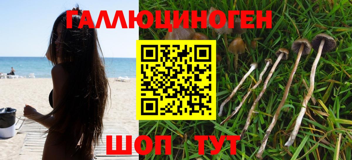 Нефтеюганск  закладка  Вход с VPN  Псилоцибиновые грибы Cubensis  Псилоцибиновые грибы MAGIC MUSHROOMS 