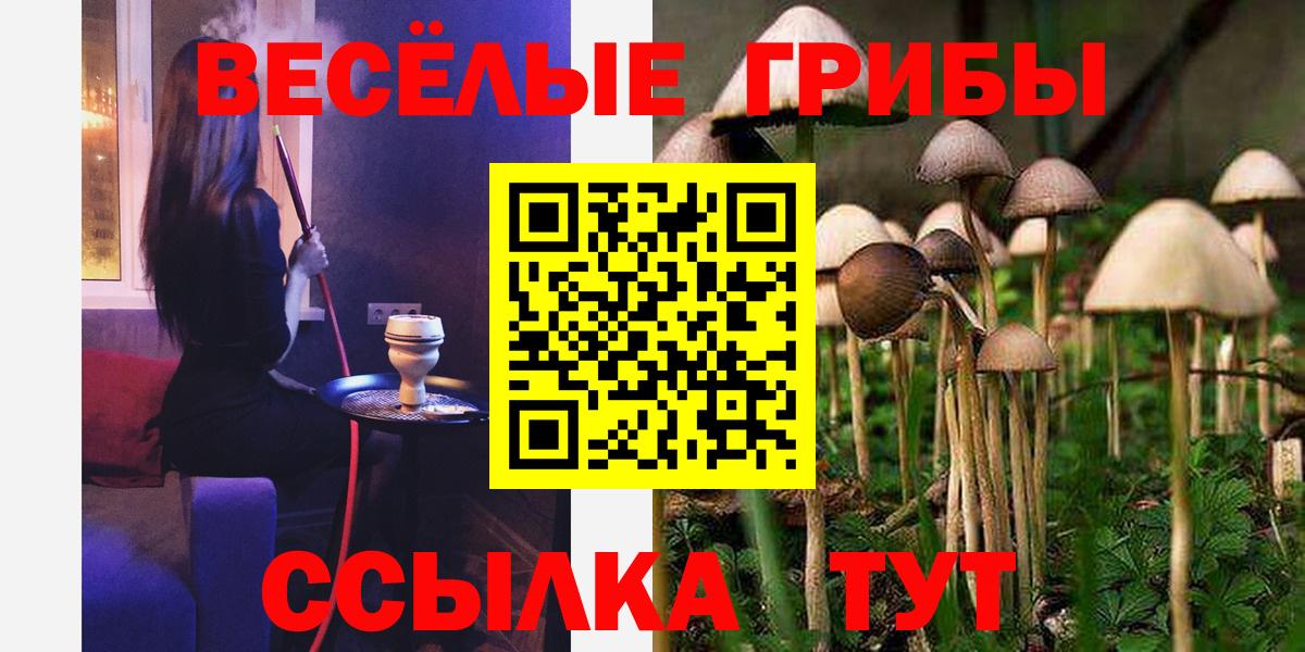 Галлюциногенные грибы Cubensis Нефтеюганск